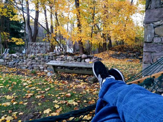 Pause for this Beautiful Day!