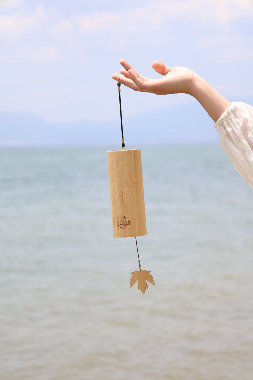 Hand holding a wooden wind chime with a blurred ocean background