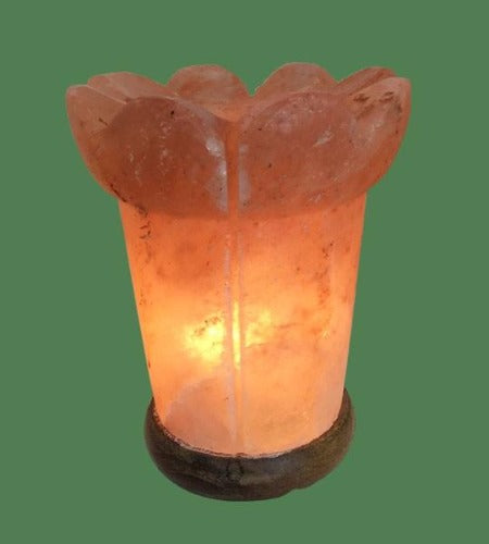 Himalayan Salt Lamp vase